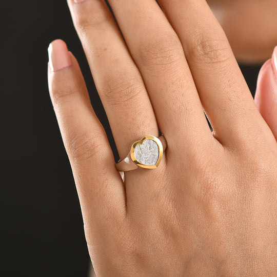D'Joy Muonionalusta Meteorit Ring 925 Silber Rhodiniert und 750 Gelbgold Vermeil (Größe 21.00) ca. 8.16 ct