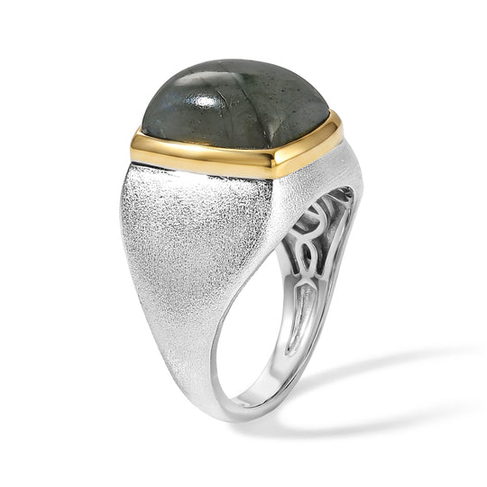 EverTrue AAA Labradorit Herrenring, Bronze mit Platin E-Beschichtung - 7 ct.