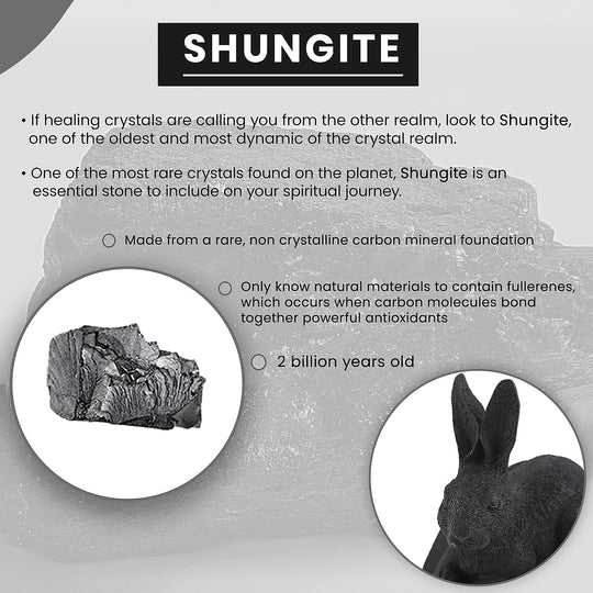 Rabbit Shungite Figurine 3.25x4.25 (7-8 Werktage Lieferzeit)