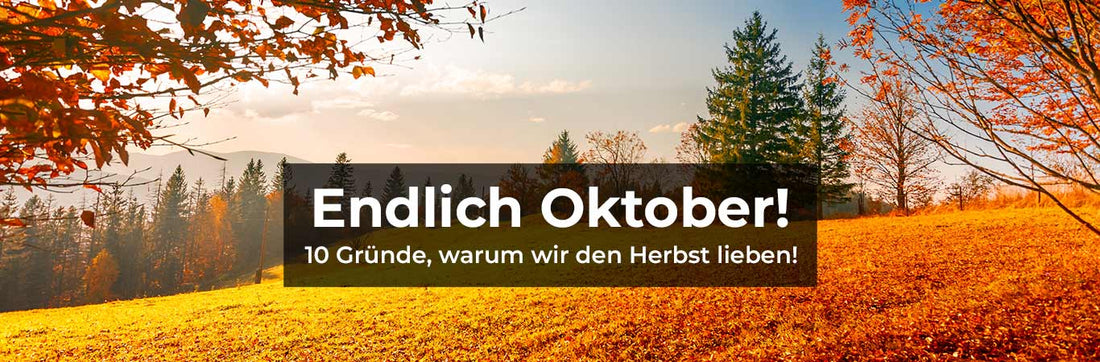 Endlich Oktober! 10 Gründe, warum wir den Herbst lieben!
