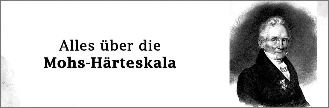 Naturkork - Die moderne Lederalternative für Sie!