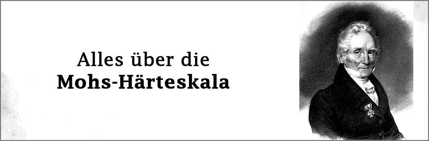 Naturkork - Die moderne Lederalternative für Sie!