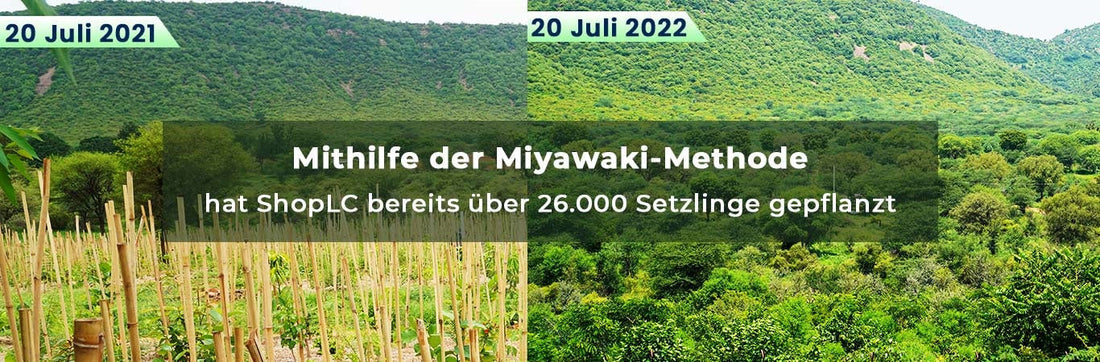 Wir fördern den Umweltschutz durch die Pflanzung neuer Wälder