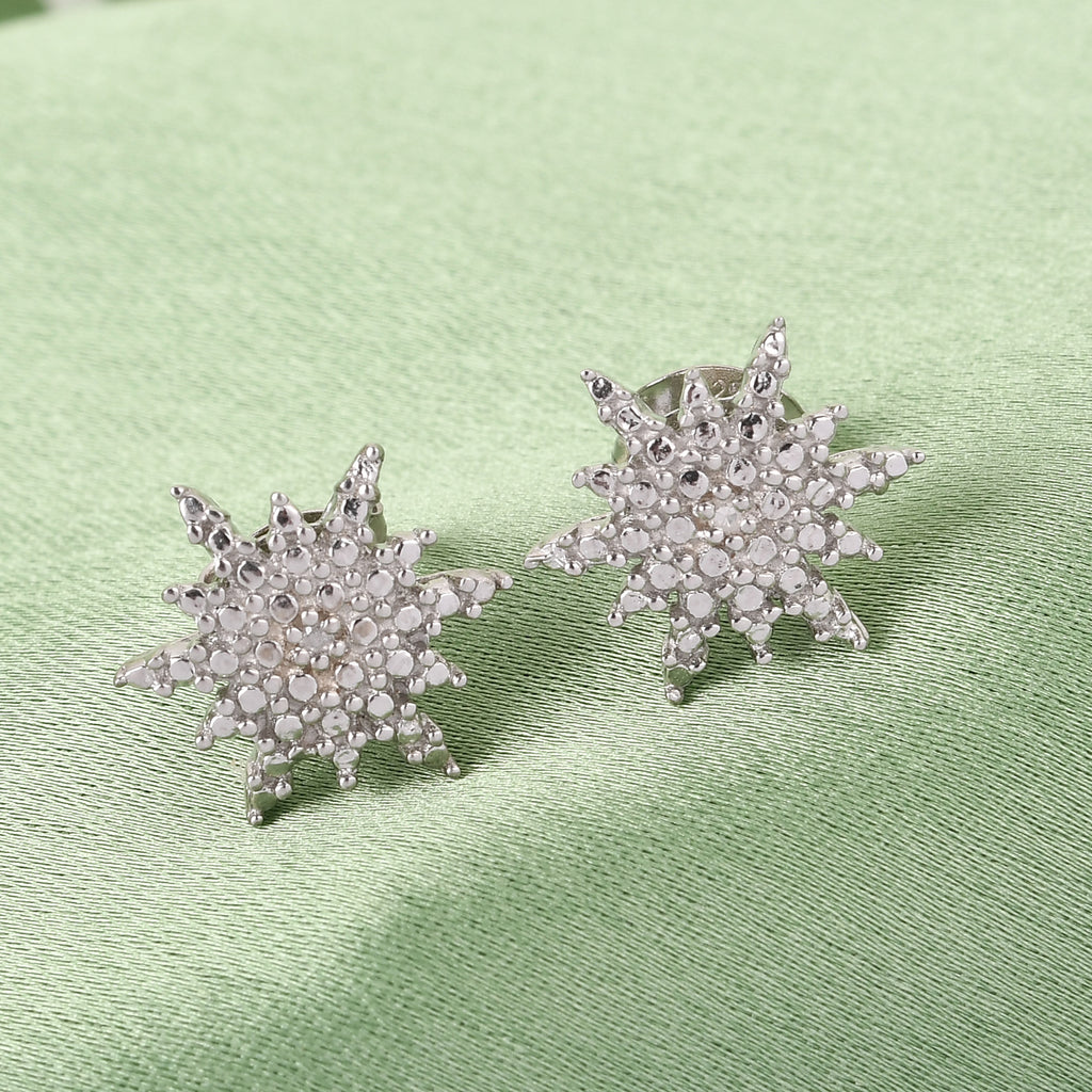 Diamant Ohrstecker 925 Silber platiniert