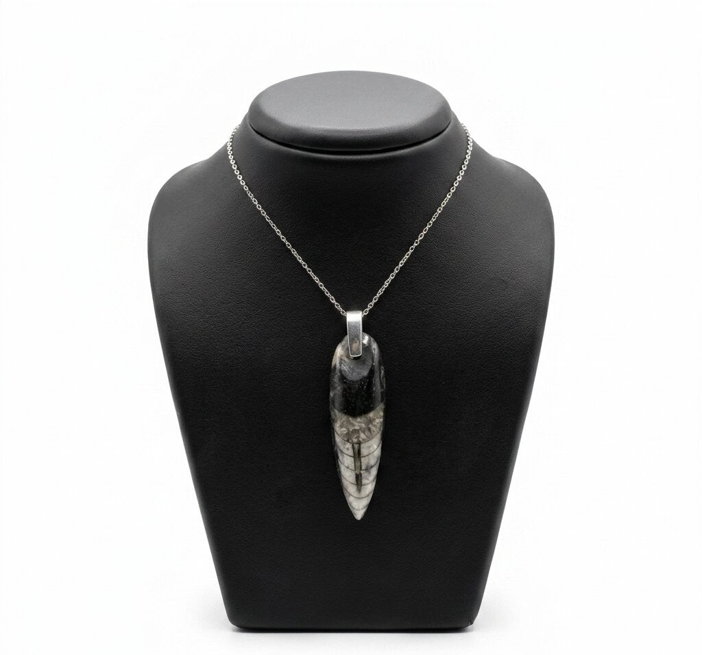 Orthoceras Schmuckset 925 Silber und 316L Edelstahl ca. 40.00 ct