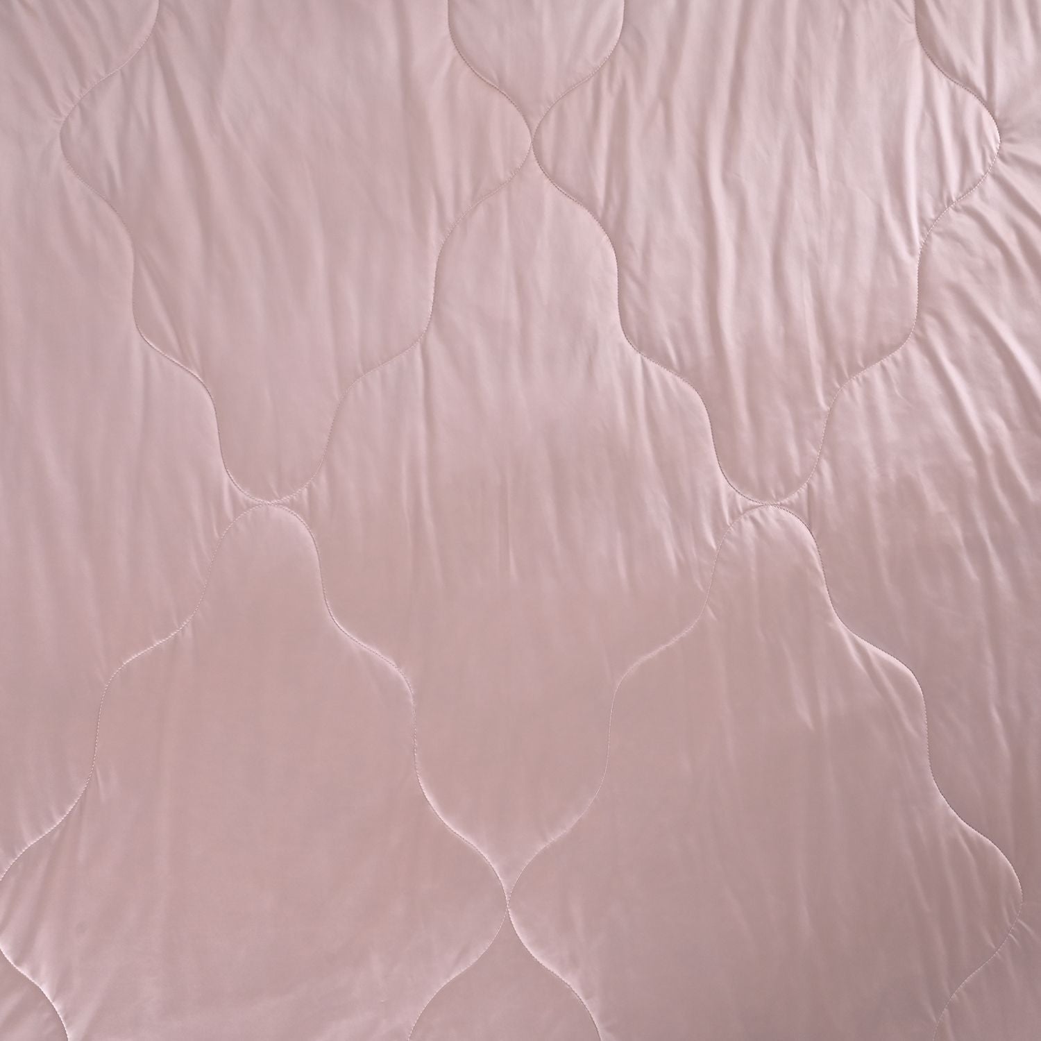 Puderrosa