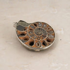 Ammonit Schmuckset ca. 50 cm Nickelfreies Messing Silber ca. 91,00 ct.