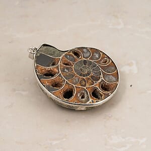 Ammonit Schmuckset ca. 50 cm Nickelfreies Messing Silber ca. 91.00 ct