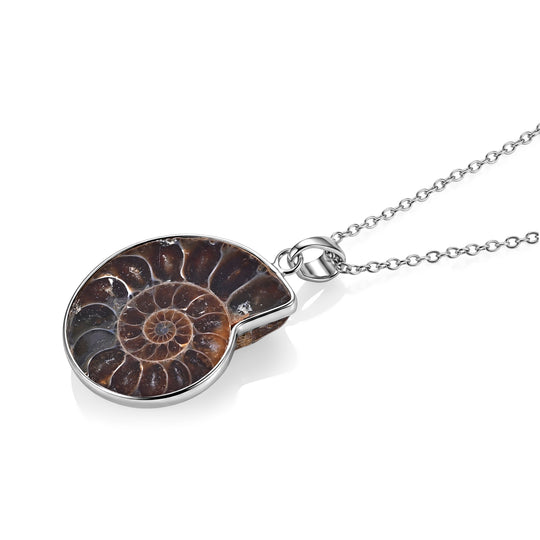 Ammonit Anhänger mit 50cm Edelstahl Kette, Messing - 22 ct.