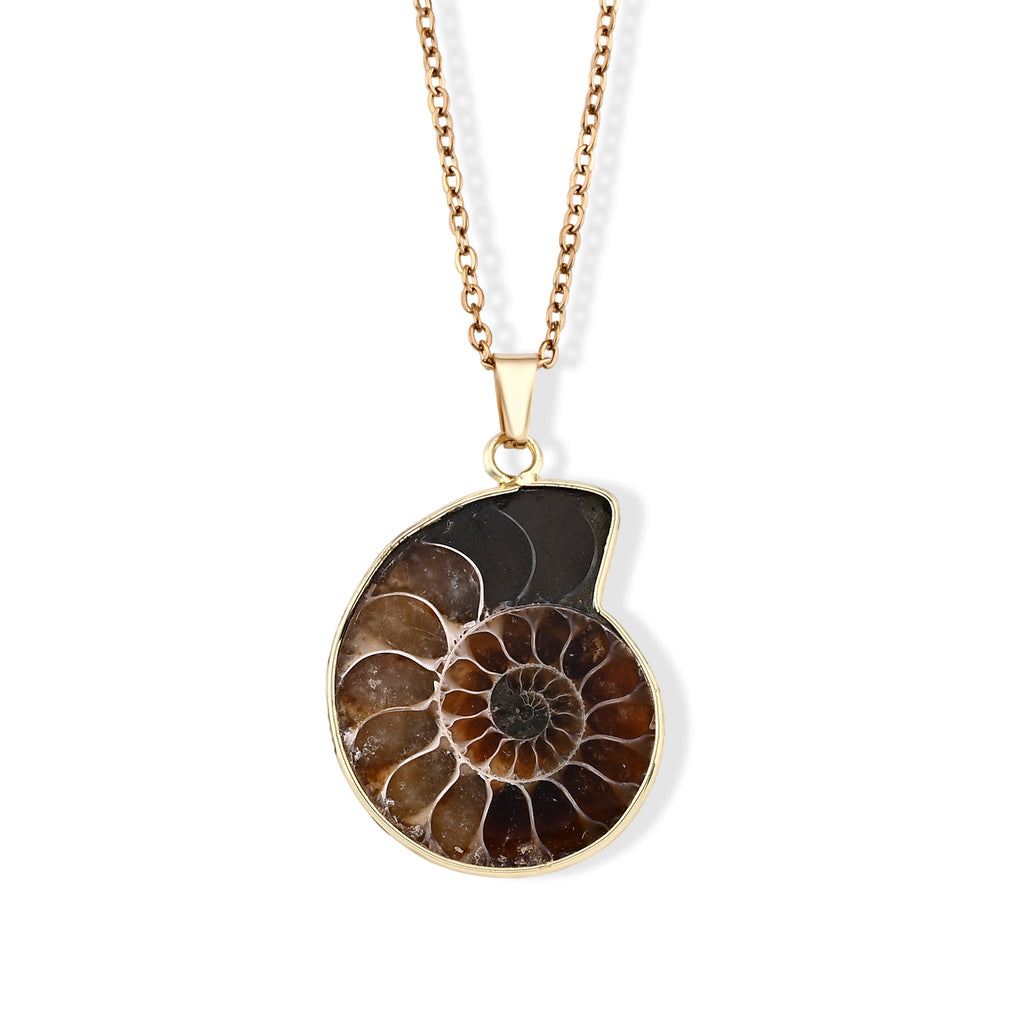 Ammonit Anhänger mit Kette, ca. 50 cm ca. 22.00 ct