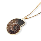 Ammonit Anhänger mit Kette, ca. 50 cm ca. 22.00 ct