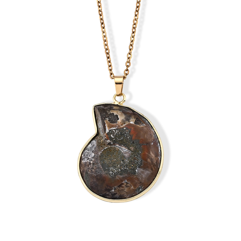 Ammonit Anhänger mit Kette, ca. 50 cm ca. 22.00 ct