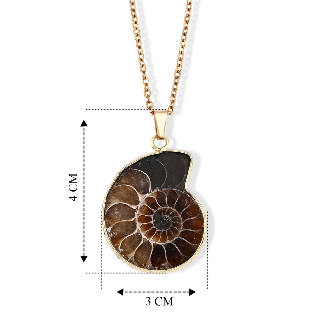 Ammonit Anhänger mit Kette, ca. 50 cm ca. 22.00 ct