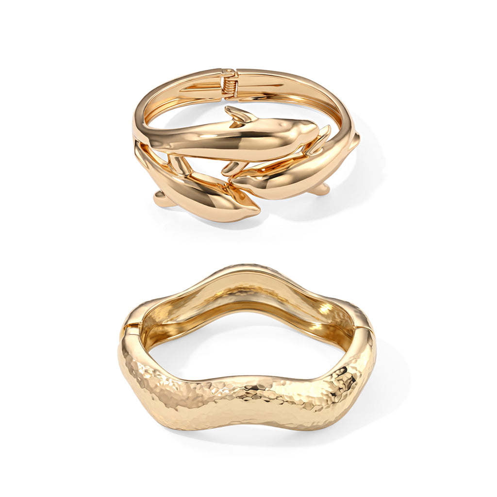 Set of 2 Bangle