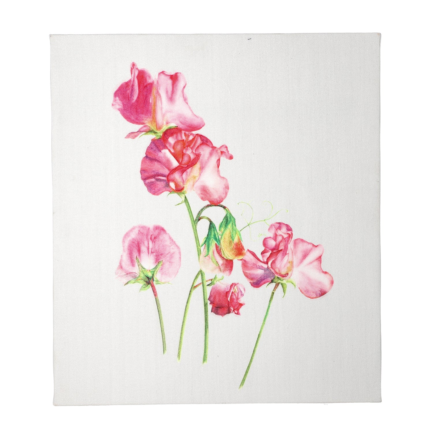Blumen