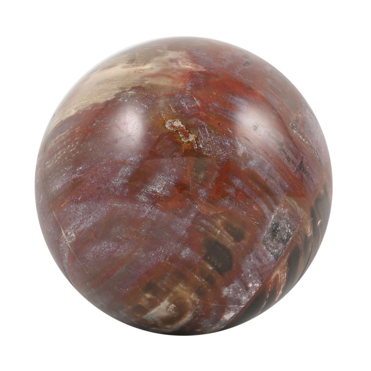 Gem Crystal Kollektion - Versteinerte Holz Sphäre 2-3 cm - M, ca. 1500 cts.