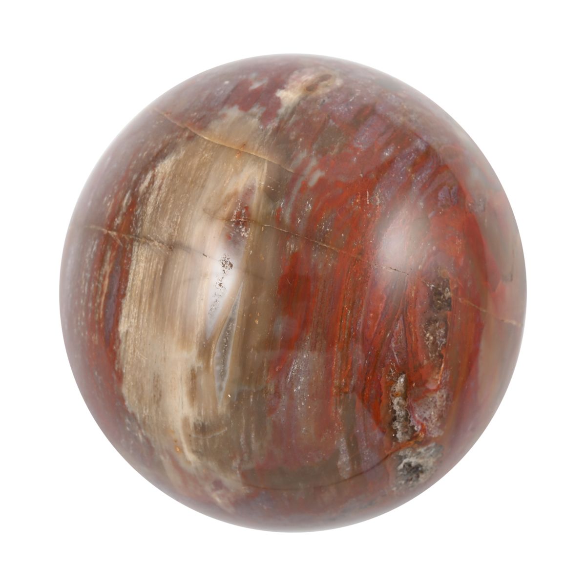 Gem Crystal Kollektion - Versteinerte Holz Sphäre 2-3 cm - M, ca. 1500 cts.
