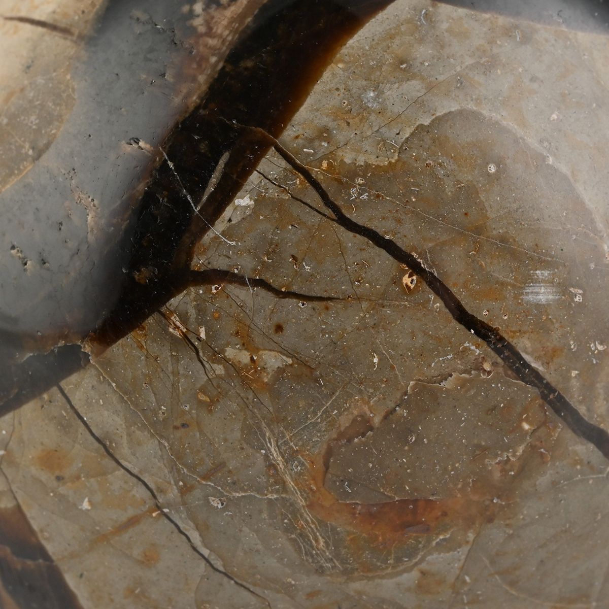 Gem Crystal Kollektion - Septarian Sphäre 3-4 cm - S, ca. 3750 cts.