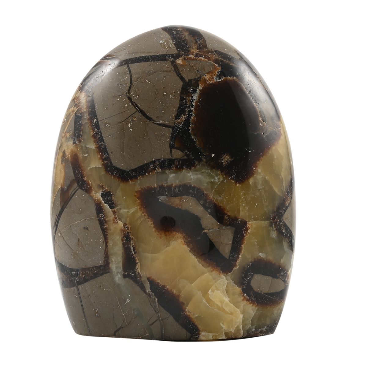 Gem Crystal Kollektion - Septarian - M, ca. 1750 cts.