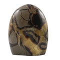 Gem Crystal Kollektion - Septarian - M, ca. 1750 cts.