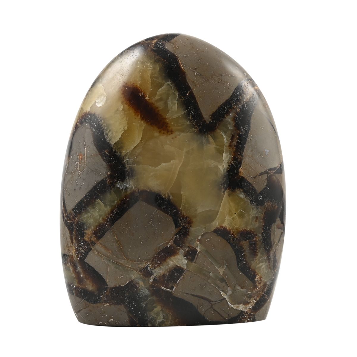 Gem Crystal Kollektion - Septarian - M, ca. 1750 cts.
