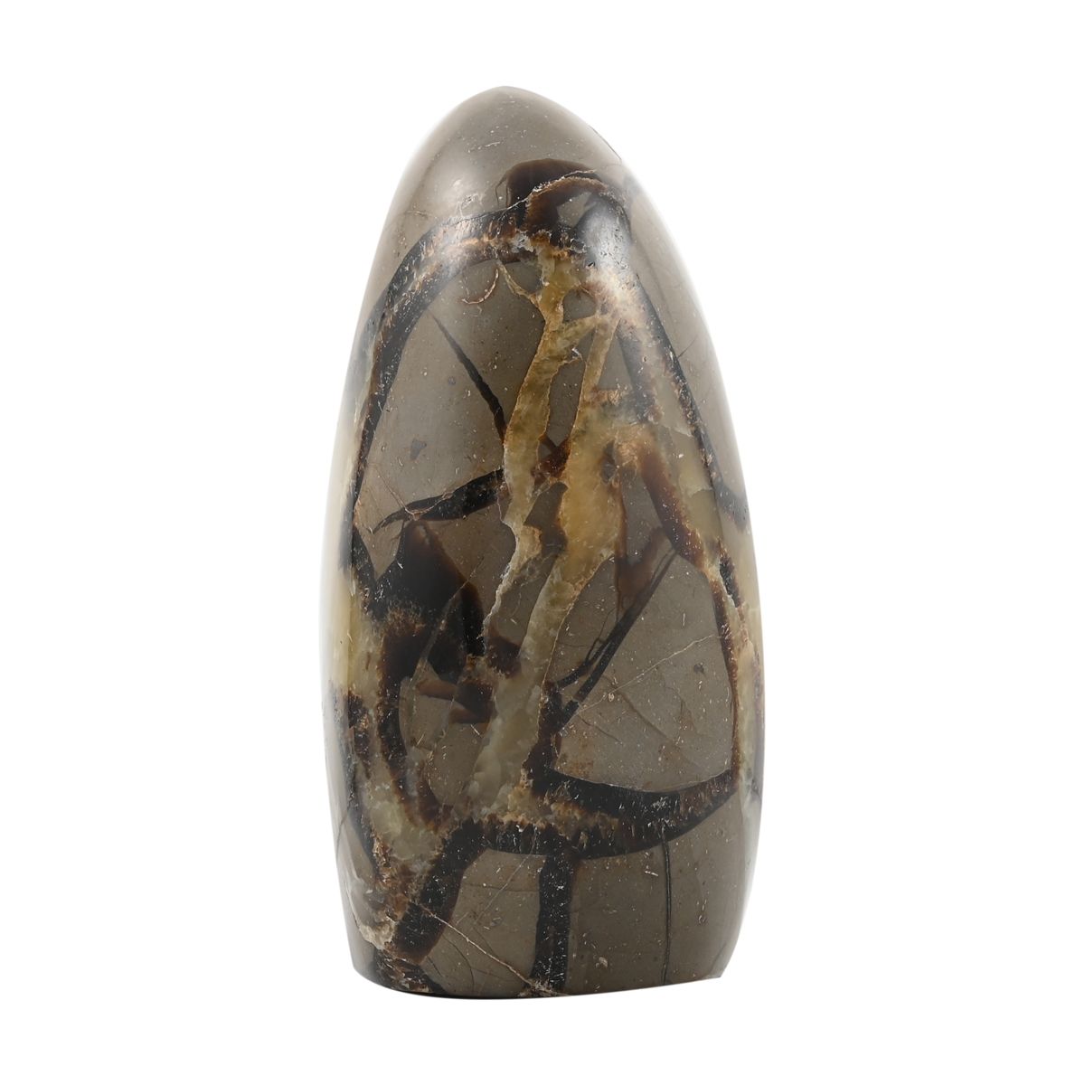 Gem Crystal Kollektion - Septarian - M, ca. 1750 cts.