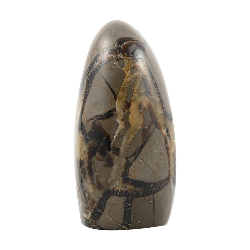 Gem Crystal Kollektion - Septarian - M, ca. 1750 cts.