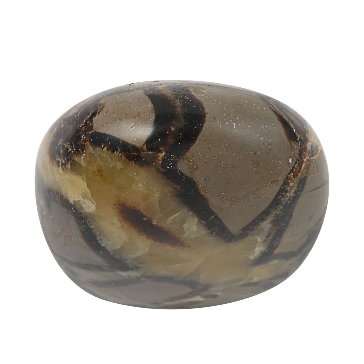 Gem Crystal Kollektion - Septarian - M, ca. 1750 cts.