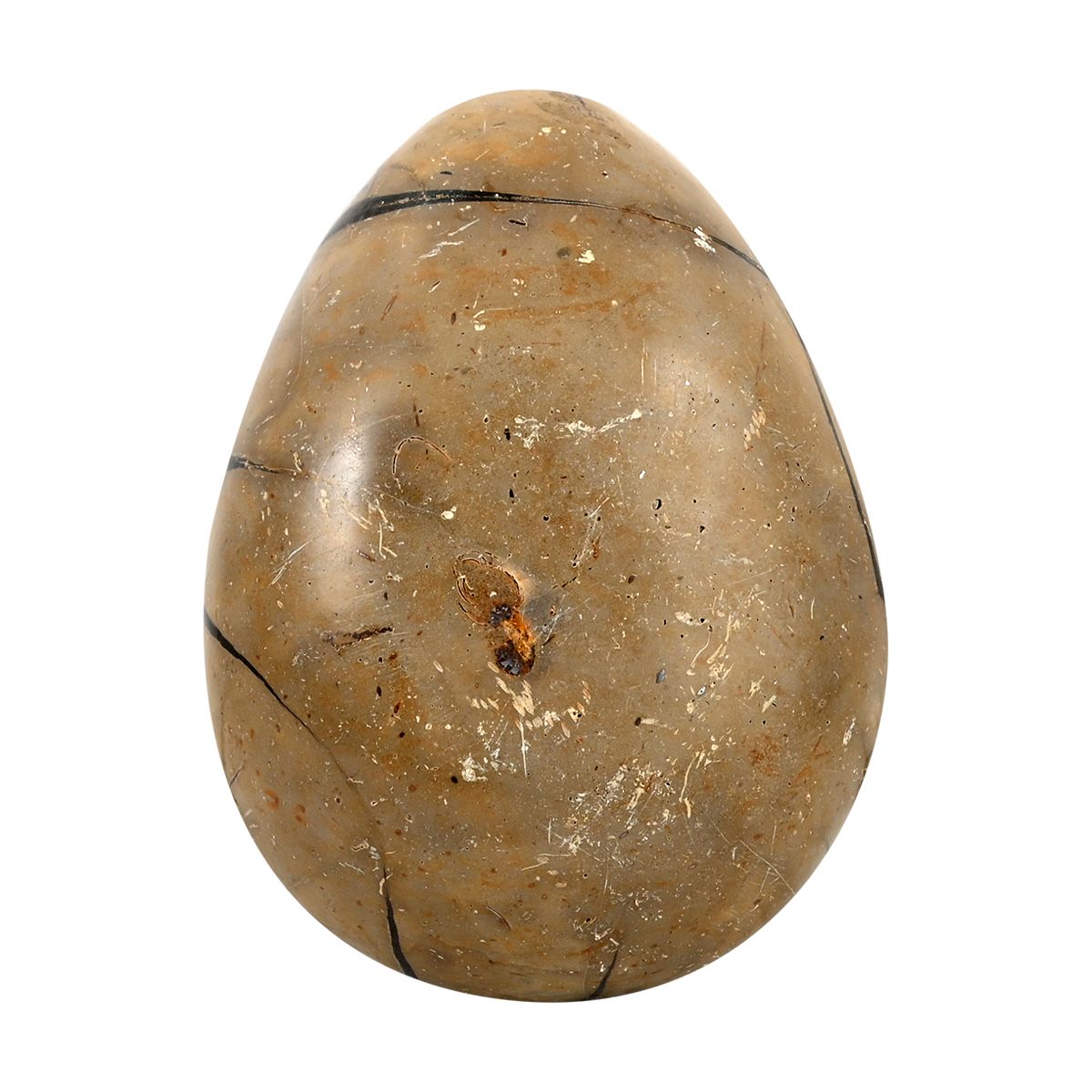 Septarian Drachen-Ei