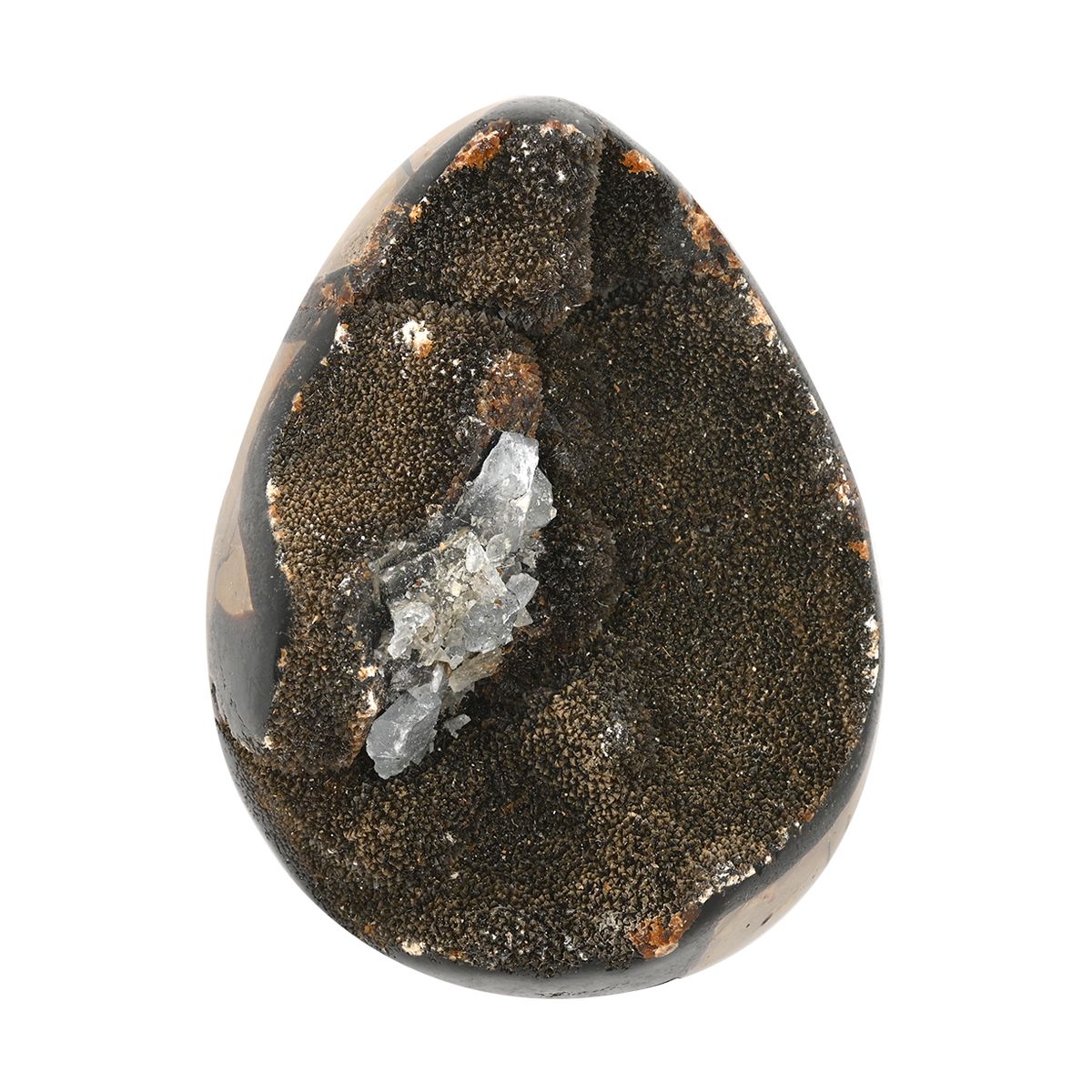 Septarian Drachen-Ei