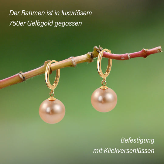 ILIANA - AAA Goldene Südsee Perlen Ohrringe, (10-11mm), 750 Gold