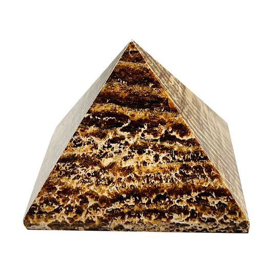 Gem Crystal Kollektion - Aragonit-Pyramide, 4.5-6 cm - S, ca. 1050 cts.