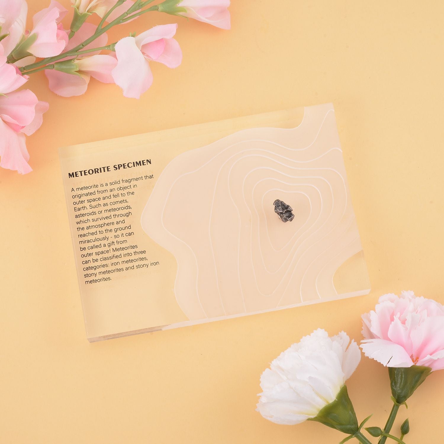 Gem Crystal Kollektion - Echter Muonionalusta Meteorit in Geschenkverpackung für Sammler