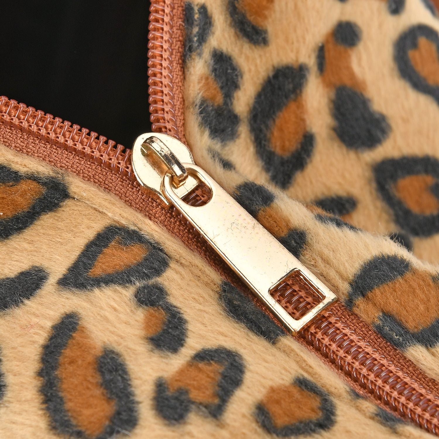 Brauner Leopard mit Mehrfarbigkeit