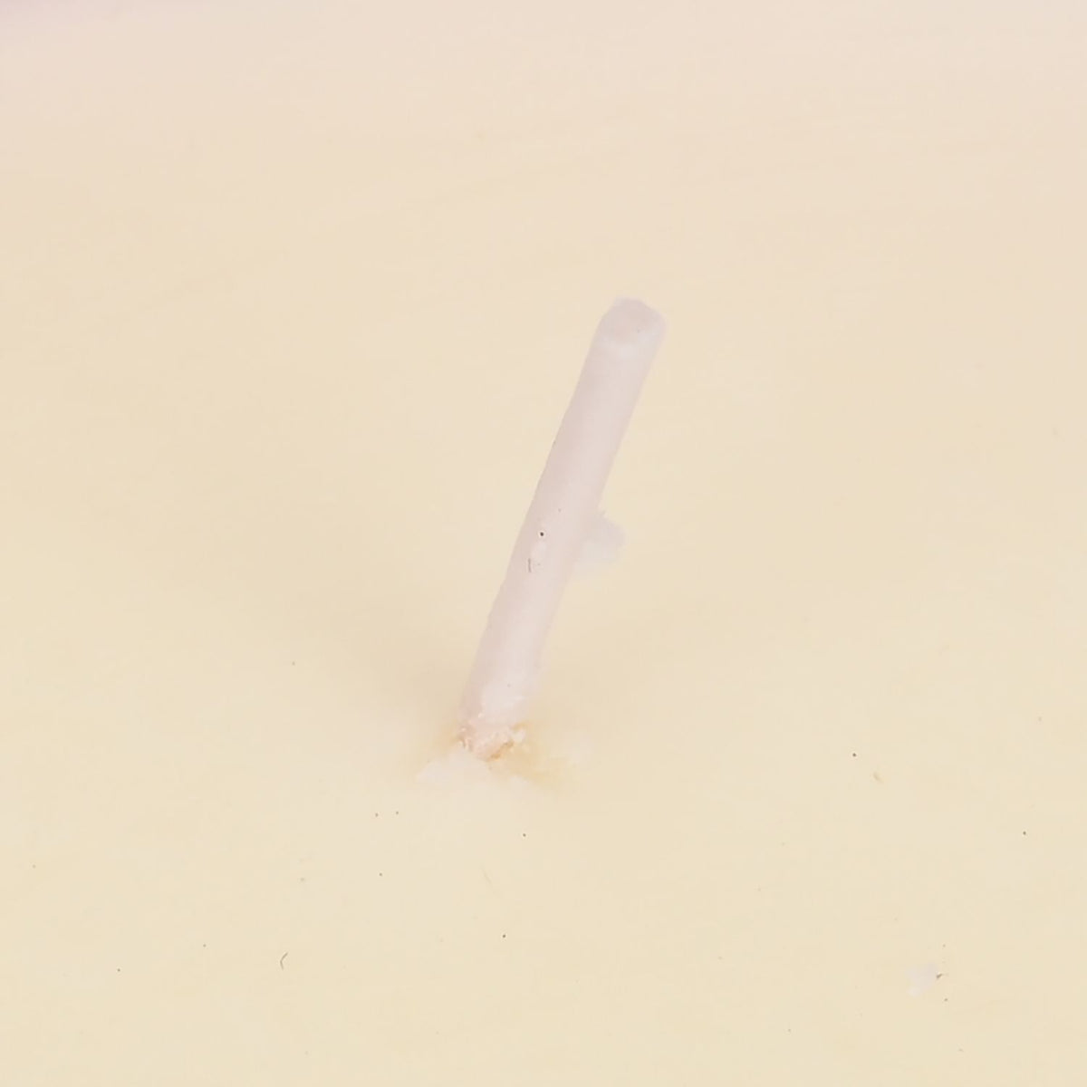 The 5th Season: Duftkerze im Glass, Rose und Jasmin, 6ml natürliches Öl, 200 g Wachs, 50 Stunden Brenndauer, Rose und Jasmin