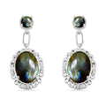 Labradorit Ohrringe - 13,57 ct.