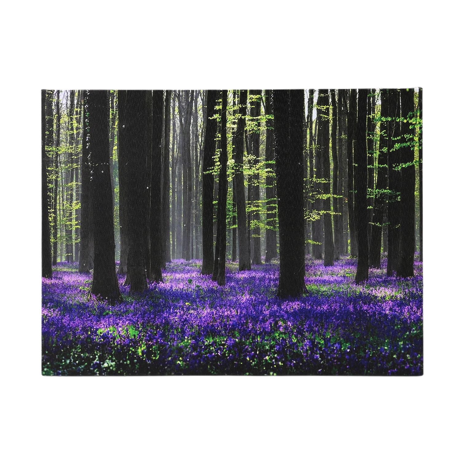 Lavendelblüten