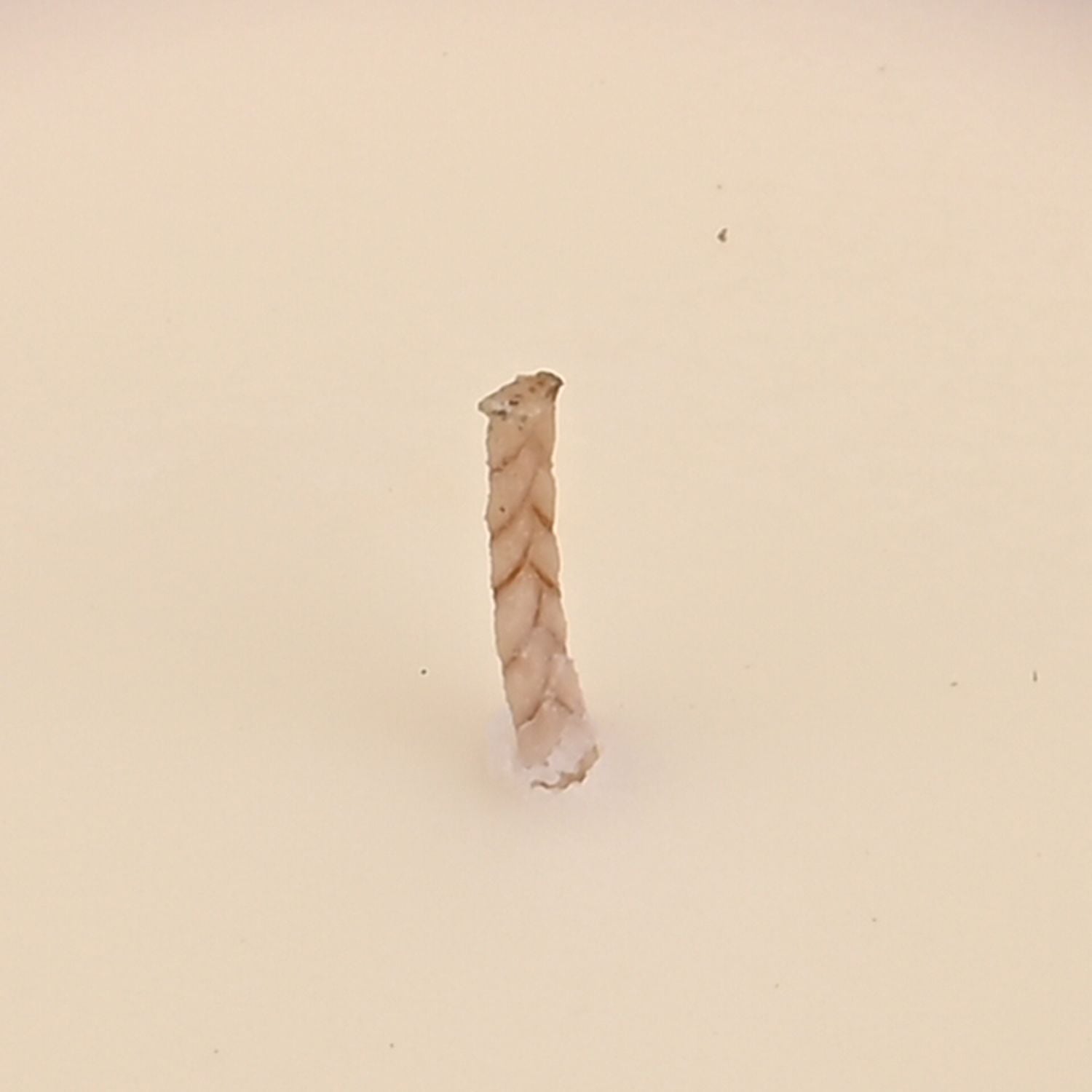 LIVMORE - Duftkerze im Glas-Dose mit Kristall-Biene, 24 Std. Brenndauer, 120g, 3,6 ml ätherisches Öl, Lavendel und Jasmin, Himmelblau