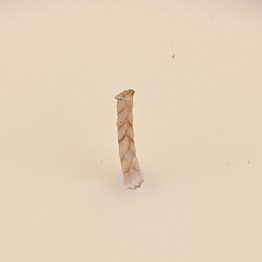 LIVMORE - Duftkerze im Glas-Dose mit Kristall-Biene, 24 Std. Brenndauer, 120g, 3,6 ml ätherisches Öl, Lavendel und Jasmin, Himmelblau