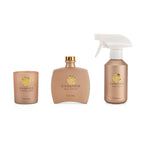Kerzenset mit Duftstäbchen und Raumspray, Gold, 5 % Parfümanteil, Raumspray 100 ml, Duftkerze im weißen Glas mit 100 g Paraffinwachs, Duftnote: Champagner