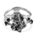 D'Joy Muonionalusta Meteorit, Schwarzer Spinell Ring 925 Silber rhodiniert (Größe 17.00) ca. 16.25 ct