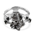 D'Joy Muonionalusta Meteorit, Schwarzer Spinell Ring 925 Silber rhodiniert (Größe 17.00) ca. 16.25 ct