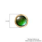 D'Joy Kanadischer Ammolit Ohrringe 925 Silber 750 Gelbgold Vermeil ca. 1.66 ct