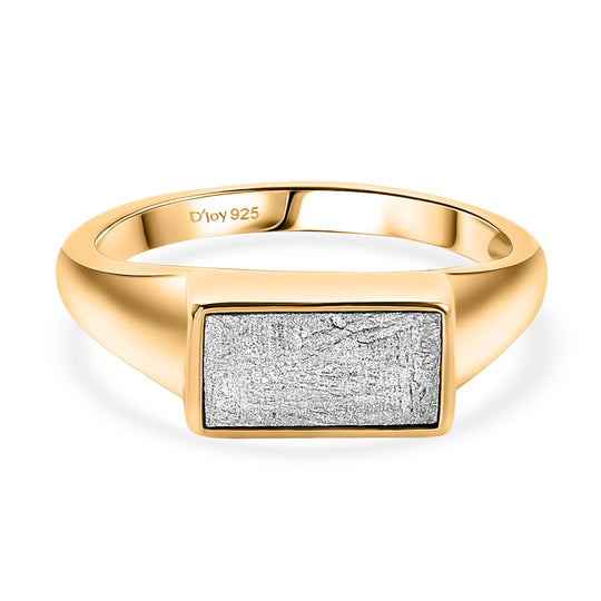 D'Joy Muonionalusta Meteorit Ring 925 Silber 750 Gelbgold Vermeil (Größe 22.00) ca. 7.78 ct