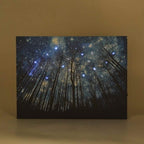 LIVMORE Wald Motiv LED Wandbild mit Glasfaser Lichteffekt 30 x 40 cm