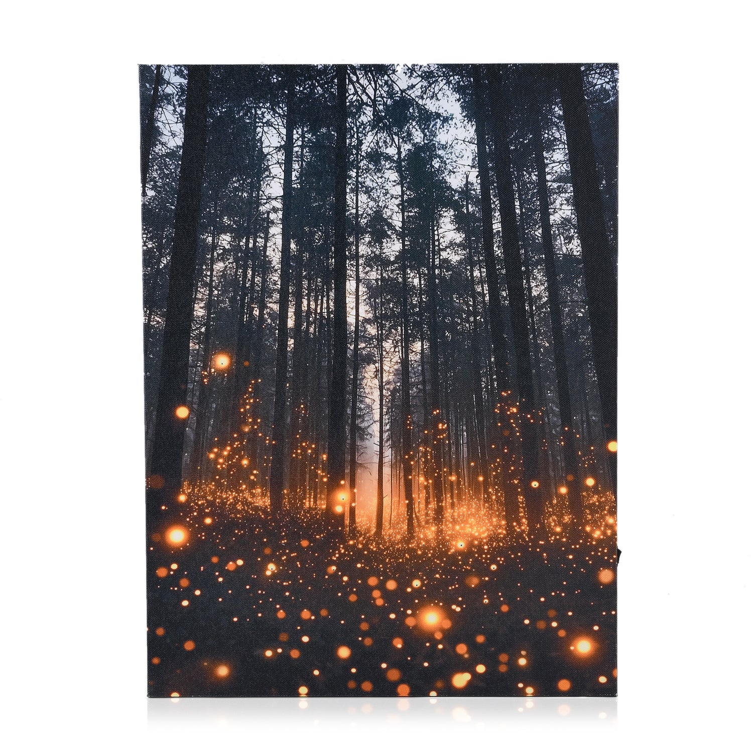 Rot