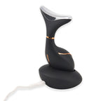 BEAUTECH Gesichts und Halsbehandlungs massagegerät, mit Nano-Lichttherapie, 1640 mAh, Schwarz