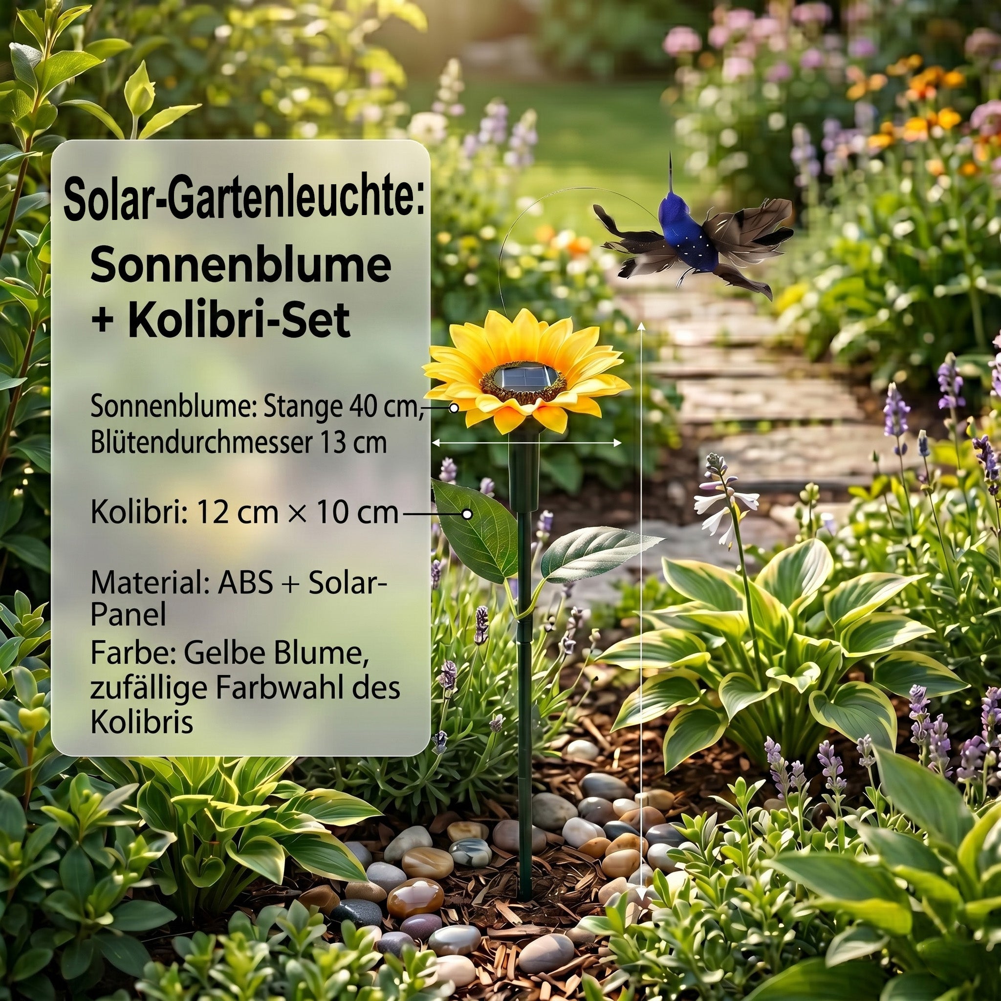 Kolibri