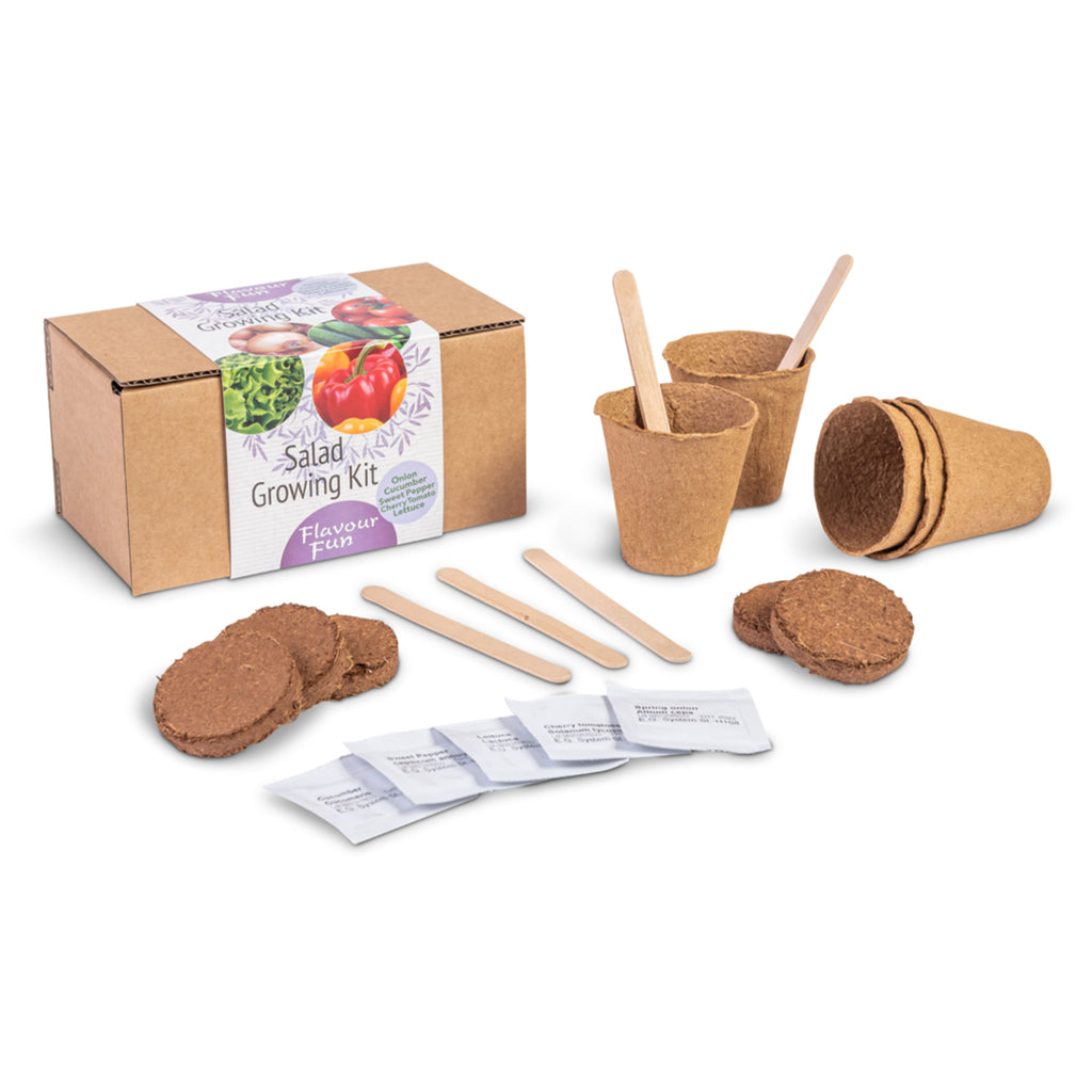 Gemüse-Anzuchtset 5-teilig Zwiebel Gurke Paprika Cherrytomate Salat mit Holzfaser-Töpfen Erde-Tabletten Saatgut und Pflanzenetiketten in Geschenkbox