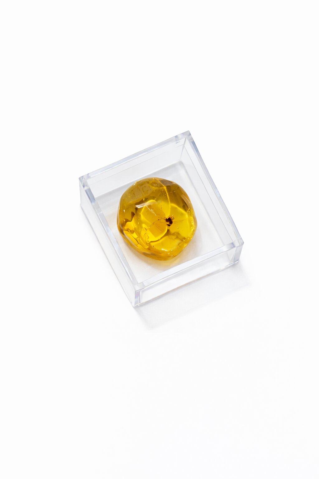 Natürlicher Baltischer Bernstein mit Inkluse Insekt, Cabochon Fancy Schliff, Gelb
